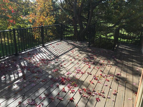 Transcend Tropical Picture Frame Spiced Rum Deck