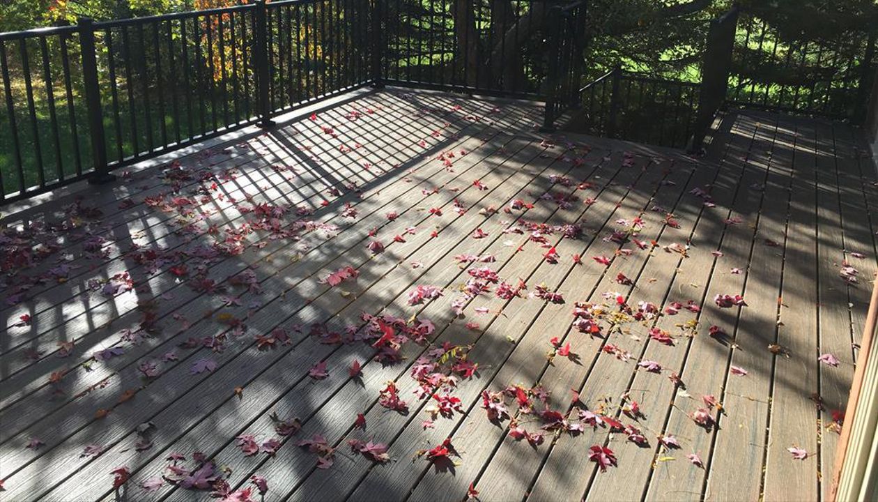 Transcend Tropical Picture Frame Spiced Rum Deck