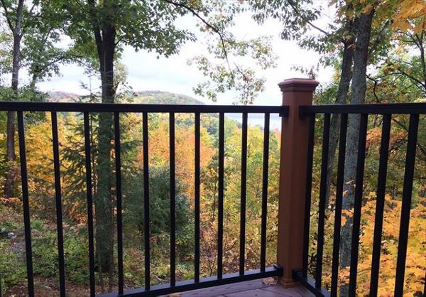 A Northern MI view through Reveal railing!