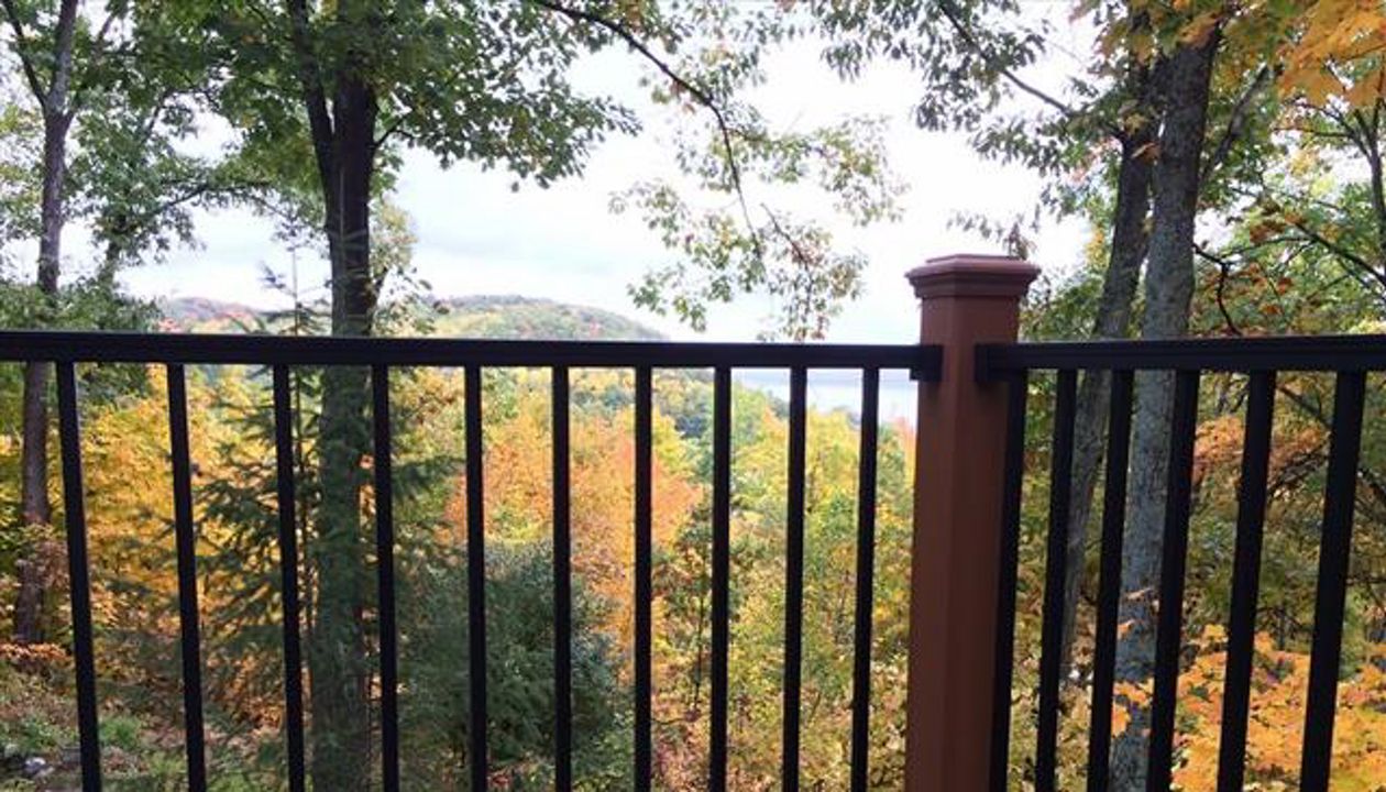 A Northern MI view through Reveal railing!