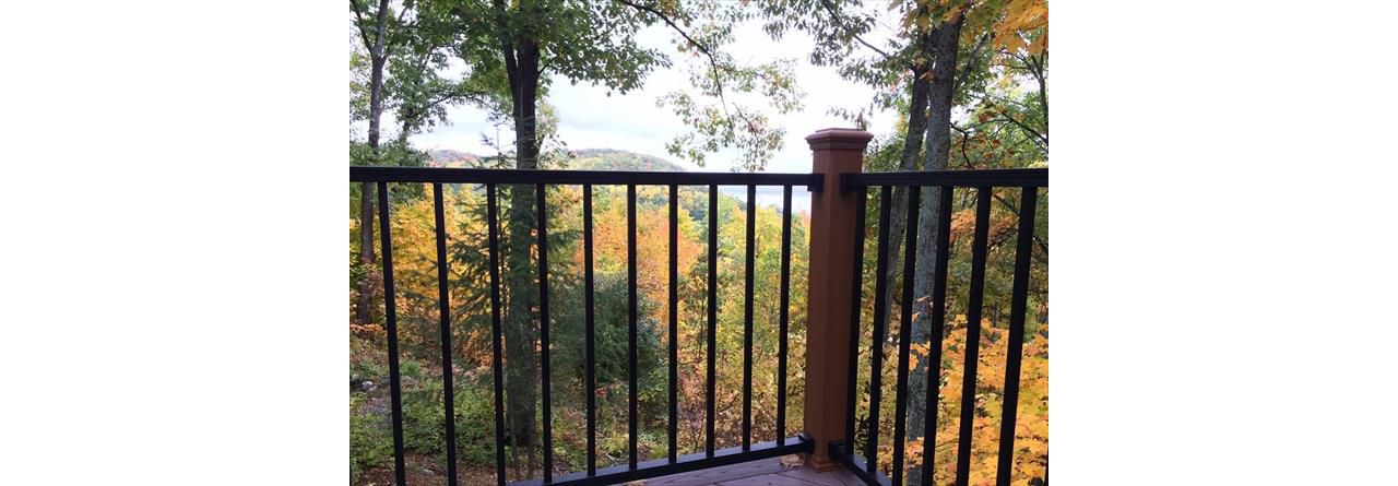 A Northern MI view through Reveal railing!