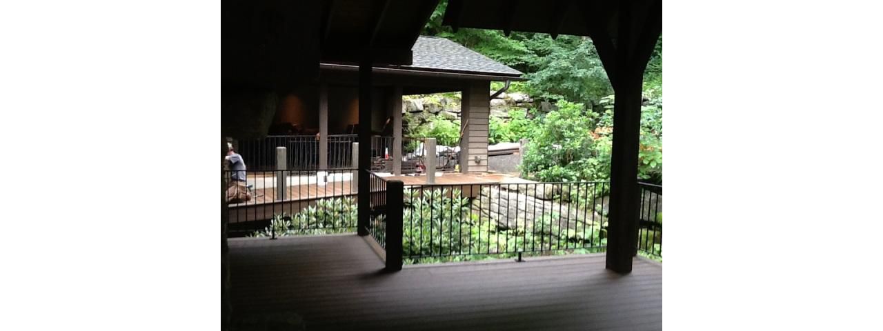 Trex Transcend decking & beautiful & consistent over even natural wood framing members.