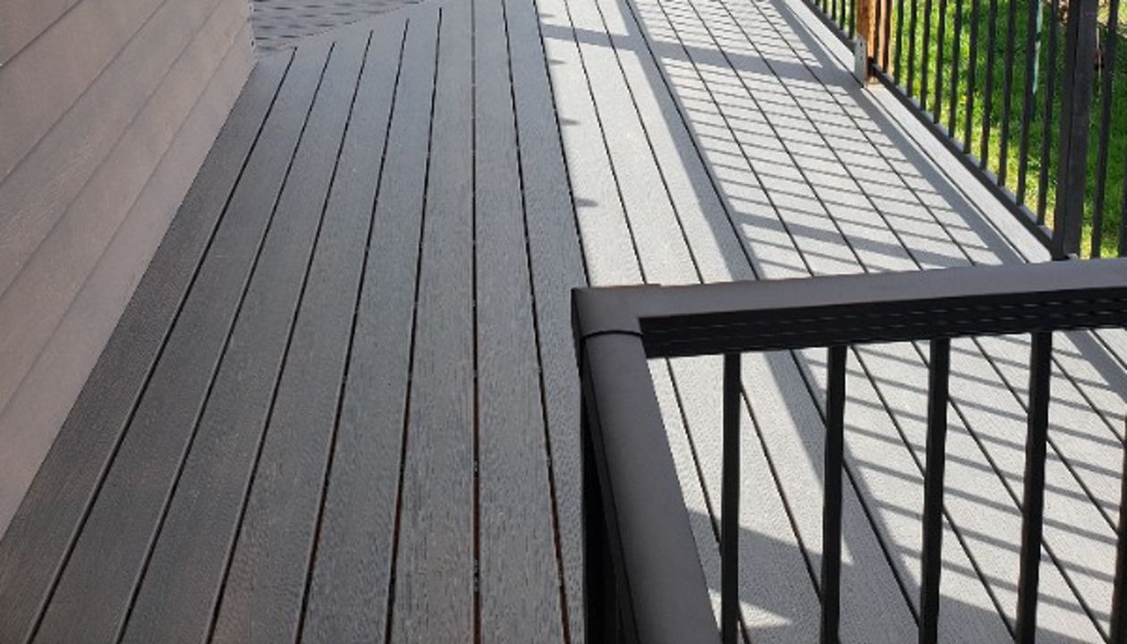 Trex Basics - Clam Shell Pic 2