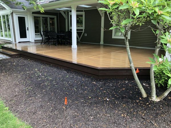 Transcend Havana Gold with Vintage Lantern trim