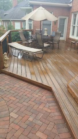 Transcend Spiced Rum