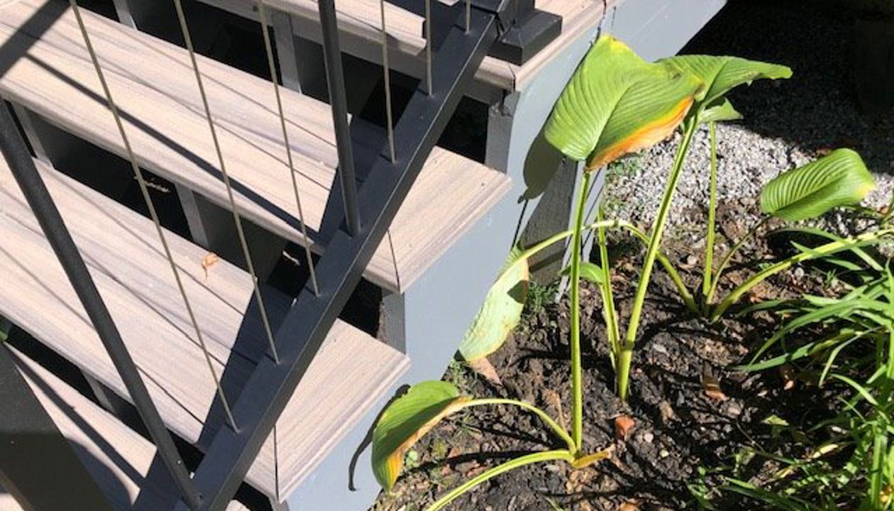 Detail of JW Construction's commitment to quality showing the picture frame on the Trex Enhance Naturals Rocky Harbor stairs