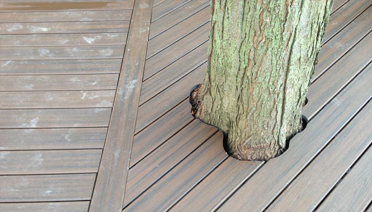 Check out this Trex deck Images Landscaping Image and Construction built in Northville, MI out of Trex Transcend Spiced Rum decking, with special cuts made as to keep the beautiful old tree as part of the outdoor living space.