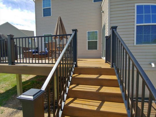 Trex Transcend- Havana Gold