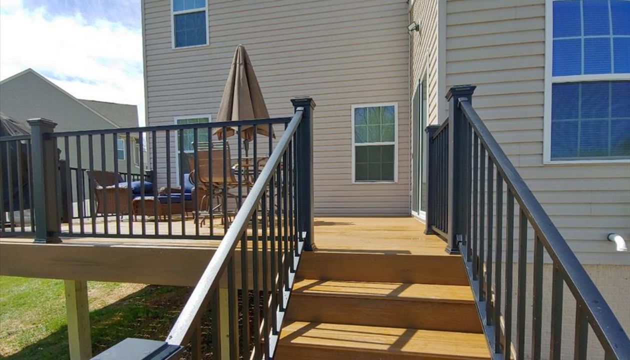 Trex Transcend- Havana Gold