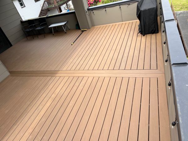 Trex Transcends Lineage Jasper