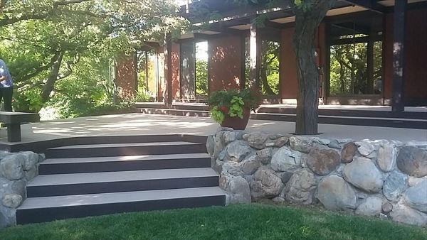 2 tone Trex Transcends Deck