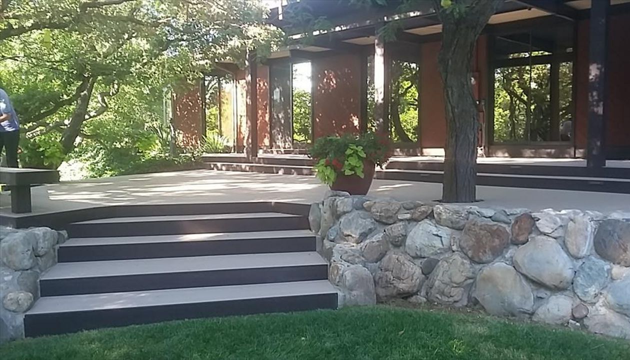 2 tone Trex Transcends Deck