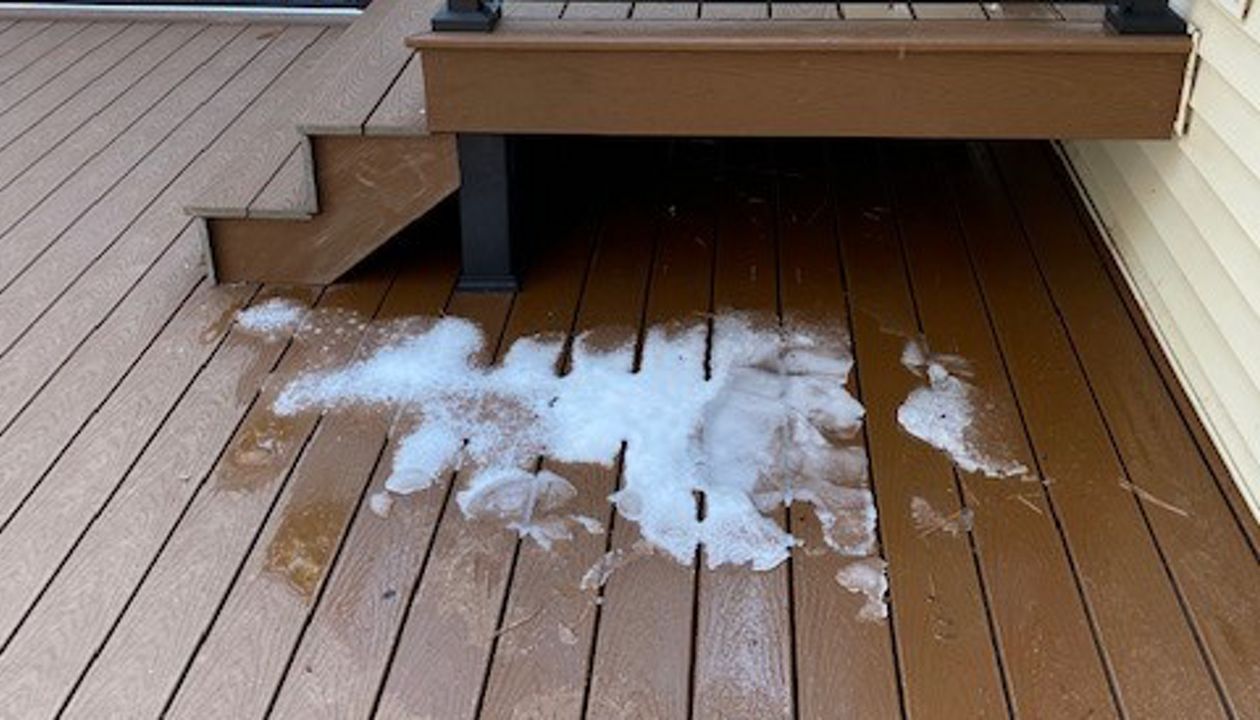 Trex Low Maintenance Composite Select Decking in NW MN