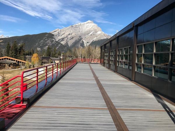 Trex composite custom decking