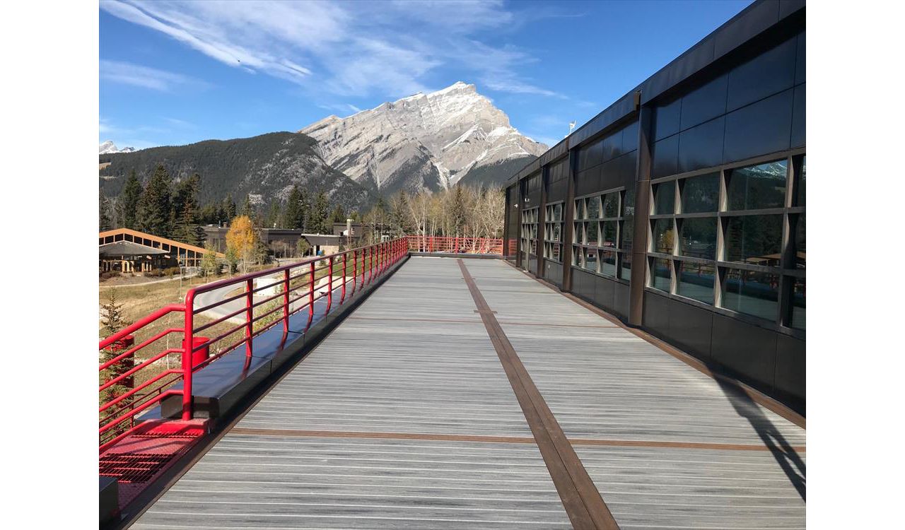 Trex composite custom decking
