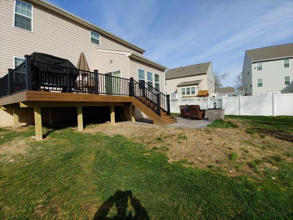 Trex Transcend- Havana Gold