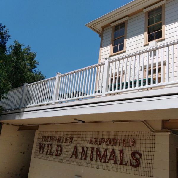 Classic Signatures Handrail Stagecoach Museum
