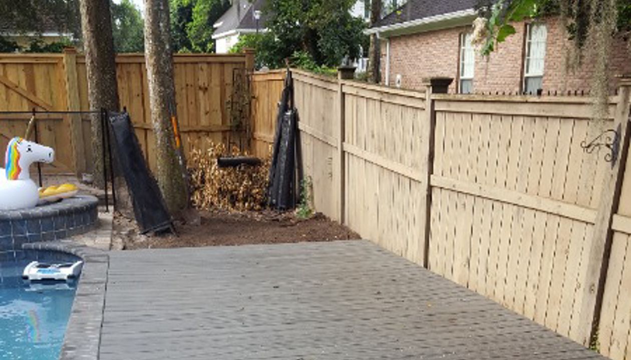 #EPPINGFOREST#IslandMist