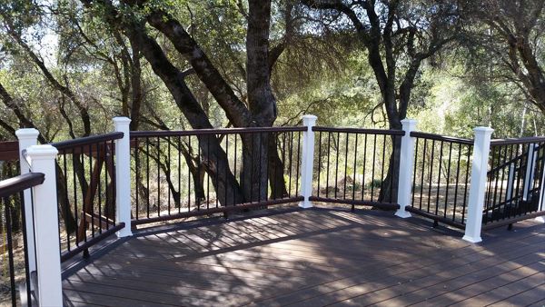 Trex Spiced Rum with Transcend railing.