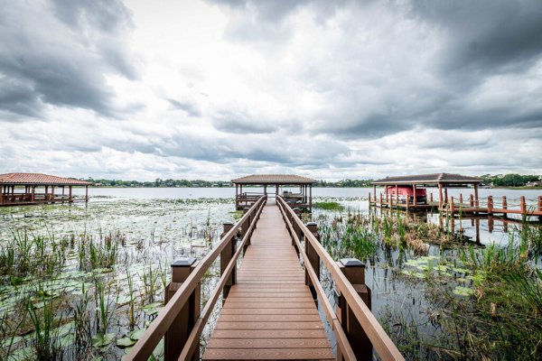 A long dock in the Everglades made of Trex boards, with marshy plants peeking out of the water around it..