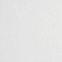 This image features a close-up view of a white wall with a subtle, fine texture. The surface appears evenly lit, highlighting the delicate grain and tactile quality of the material. There are no visible objects, text, or numbers present in the image. The overall mood is clean and minimalistic, suitable for backgrounds or design references.