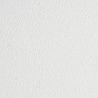 The image shows a detailed view of a white textured paper surface. The setting is minimal and neutral, focusing solely on the subtle grain and tactile quality of the material. There are no visible objects, text, or numbers present. The overall mood is clean and simple, with a soft, matte finish. This background is ideal for creative or design projects.
