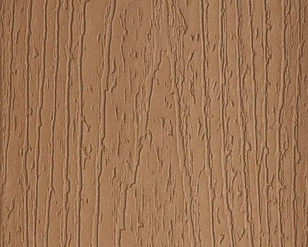 Beach Dune