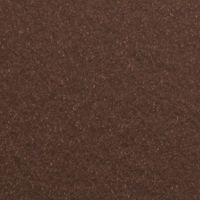 This image shows a detailed close-up of a brown textured paper or cardboard surface. The texture is uniform, with fine speckles and a matte finish. There are no visible text, numbers, or logos present. The overall color palette is a rich, warm brown, creating a neutral and natural mood.