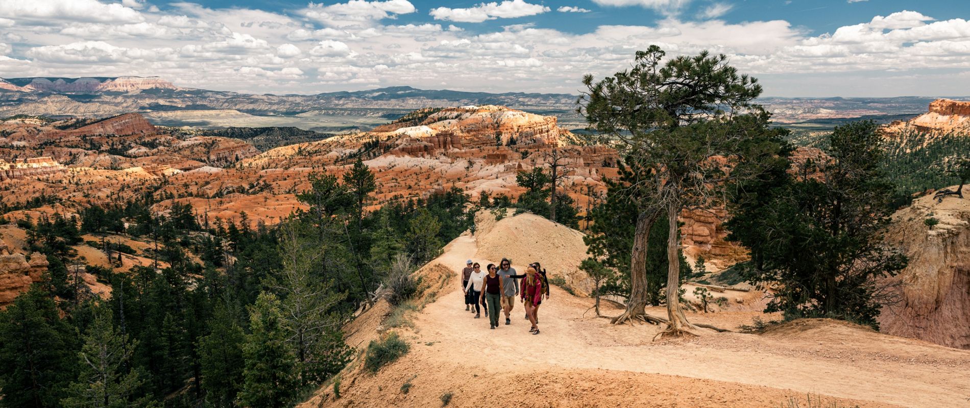 A group of people is hiking along a winding trail on a canyon ridge, surrounded by dramatic rock formations and pine trees. The setting is a vast, open landscape with layered orange and red cliffs under a partly cloudy sky. The hikers appear to be adults, enjoying an outdoor adventure in a natural park environment. The overall mood is adventurous and serene, with earthy tones dominating the palette.