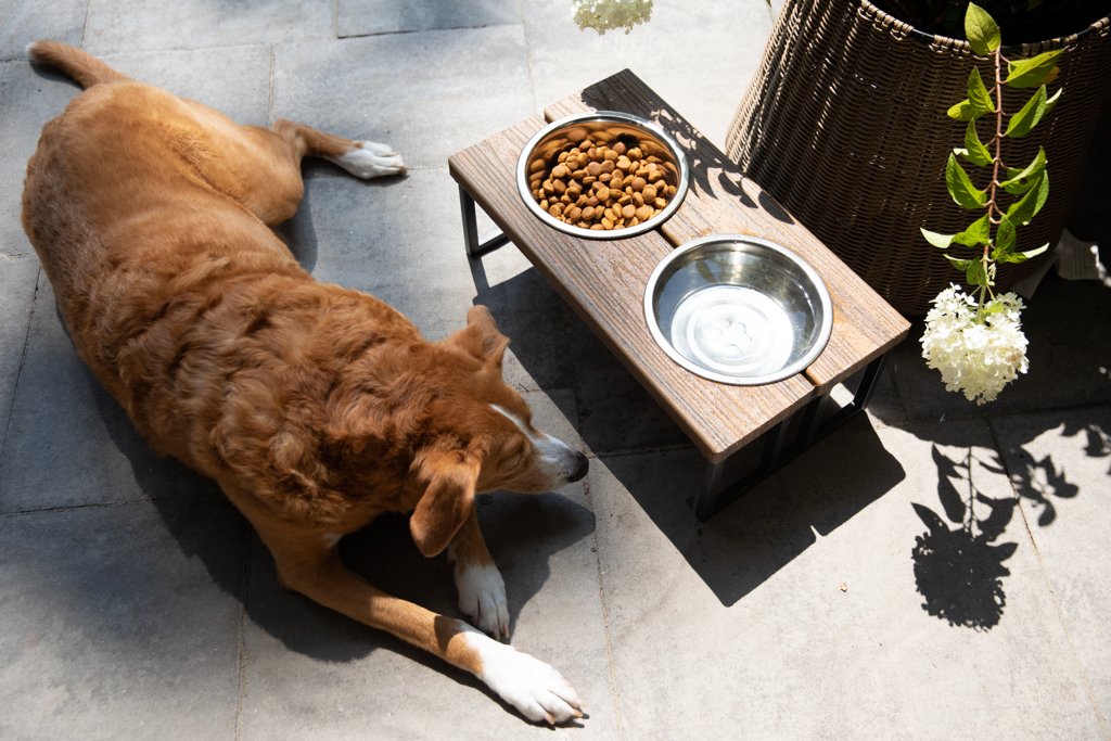 4 Upcycle DIY Elevated Dog Feeder Bowls 