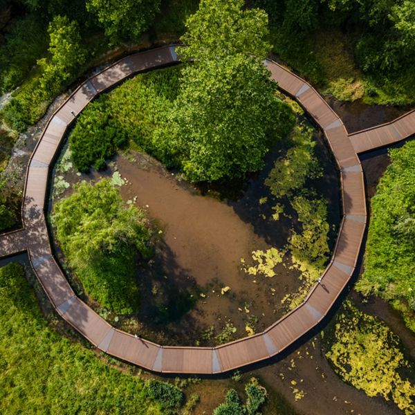 6. A boardwalk in a nature preserve made with Trex decking, made so people can walk through and over wetlands and water features. 